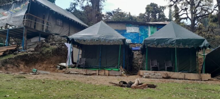 Camp in Chopta